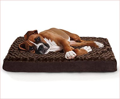 Furhaven Pet Deluxe orthopedic mattress for dogs