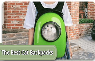 The best cat backpacks