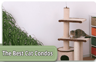 The best cat condos