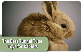 The best tunnel tube toys for rabbits