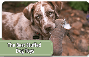 The best stuffed dog toys
