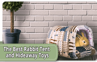 The best rabbit tent and hideaway