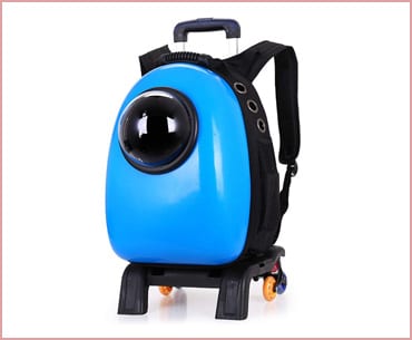 pettom pet bubble cat backpack