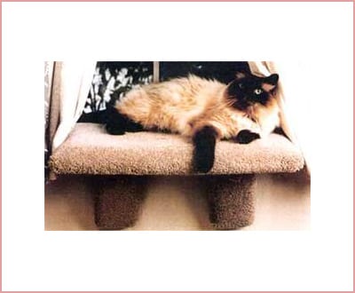 large padded cat perch by CD pets