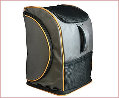 Luxury Lambo pet carrier backpack