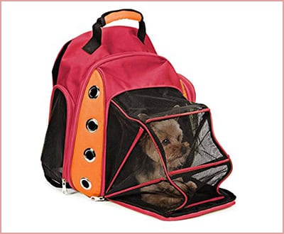 Multiple deluxe carrier mesh travel backpack for small pets