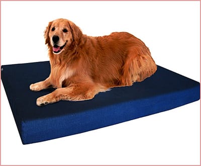 Dogbed4less orthopedic gel infused cooling memory foam dog bed for large dogs
