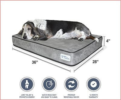 PetFusion Serenity Lounge dog bed memory foam