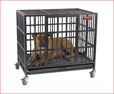 ProSelect Empire dog crate with steel tray 