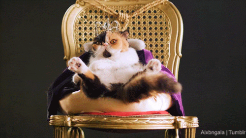 gif of a cat with a crown sitting on a chair and waving its tail