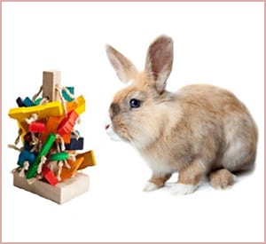 the tree wooden pet rabbit toy