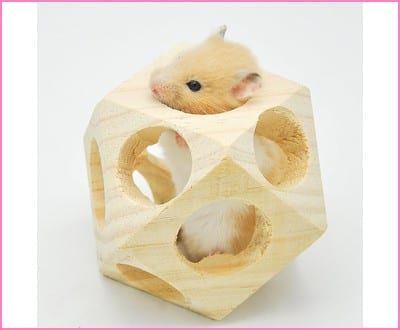 Niteangel Wooden Interactive Toy Ball for Small Animals