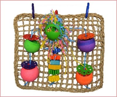 Super Bird Creations Seagrass Foraging Wall Toy for Birds
