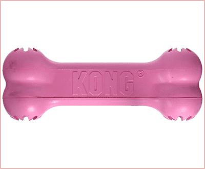 Kong Small Puppy Goodie Bone best chew toys for puppies