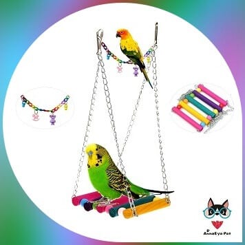 parakeet on colored swing and swing accessories on the side 