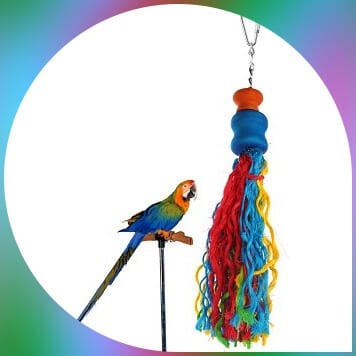 parakeet on perch beside jusney colored rope 