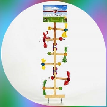 kaytee ladder toy for birds