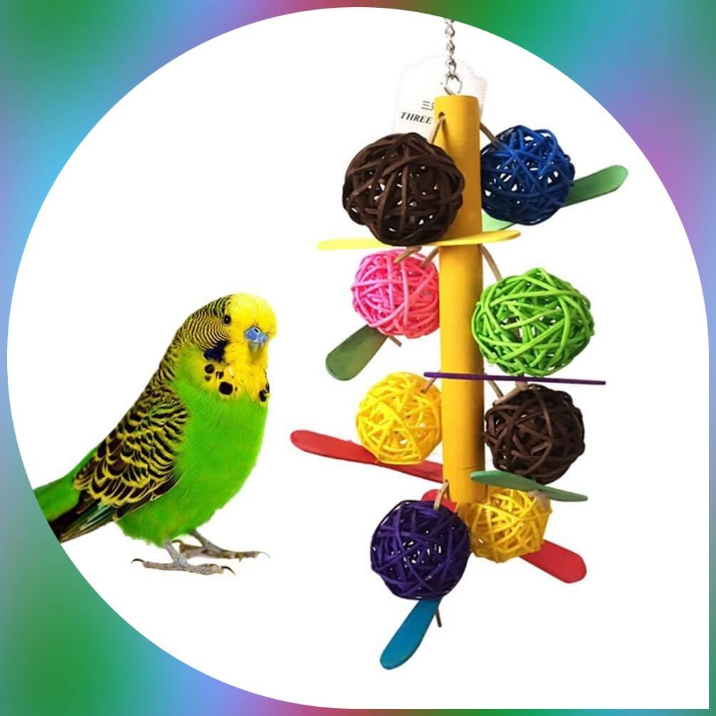 parakeet near rattan balls toy from maiyuan 