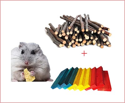 Best Bwogue Chew Toys for Hamsters