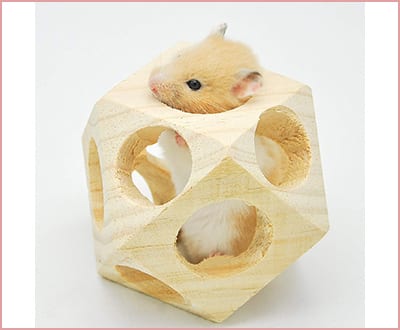 Best niteangel wooden interactive Chew Toys for Hamsters