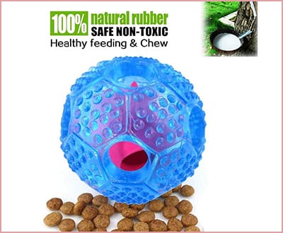 Best Noyal Interactive Toys for Chihuahuas