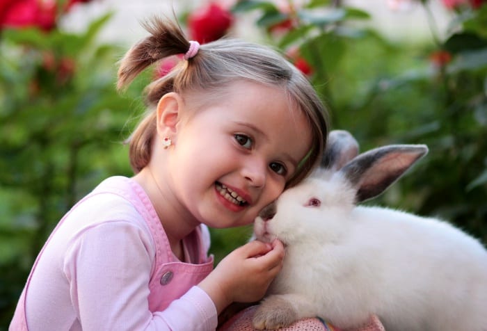 little girl cuddling white pet rabbit 