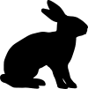 black rabbit vector 
