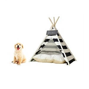Saim-Pet-Teepee-Dog-Cat-Bed-Portable-Cotton-Canvas-Tent-with-Cushion