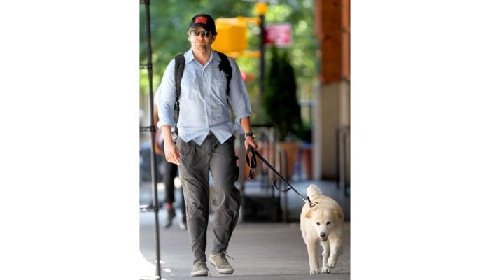 bradley cooper walking dog