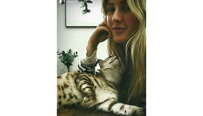 ellie goulding selfie with cat 