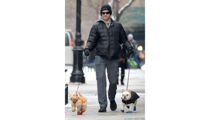 hugh jackman walking dogs 