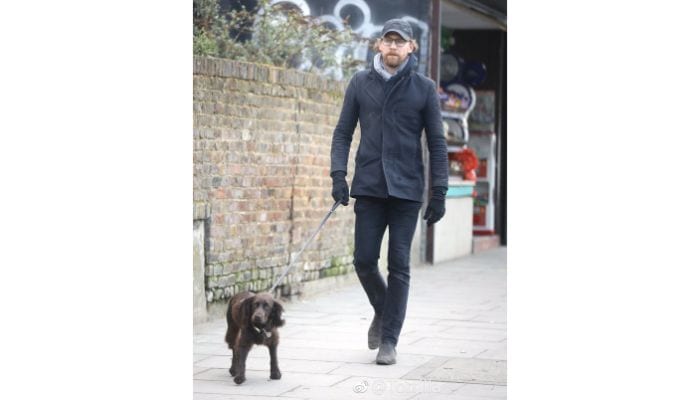 tom hiddleston walking dog 