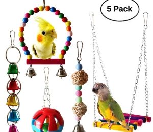 BWOGUE 5pcs Bird Parrot Toys