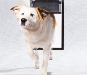 PetSafe Pet Screen Door Dog and Cat Door for Screen Door