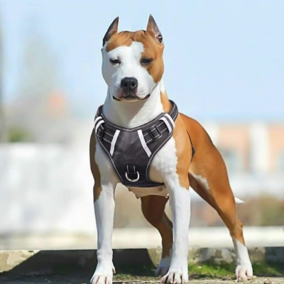 Big Dog Harness No Pull Adjustable Pet 