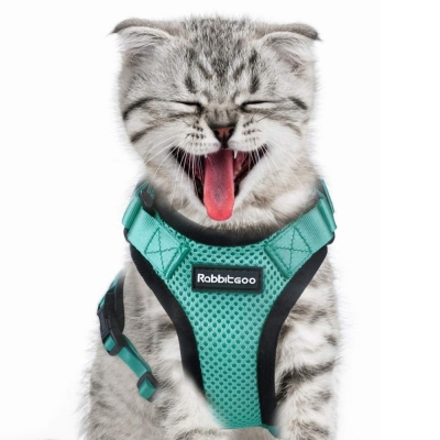 Cat Harness Large for Walking