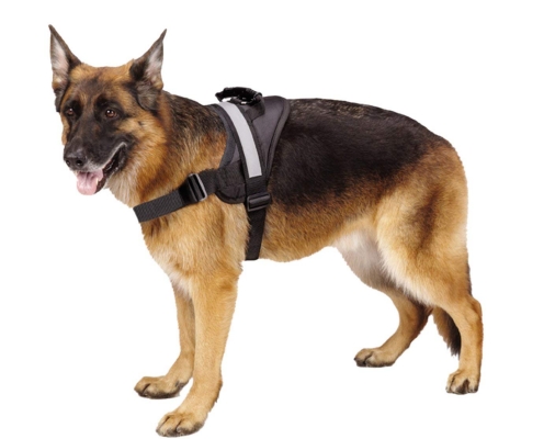 EXPAWLORER Big Dog Harness Soft Reflective No Pull Vest for Medium to Large Dogs