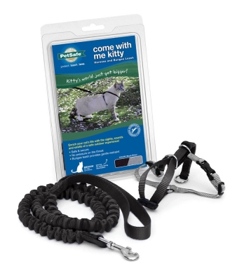 PetSafe Come with Me Kitty Harness and Bungee Leash, Harness for Cats