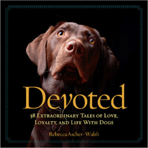 Devoted 38 Extraordinary Tales of Love Loyalty and Life With Dogs book
