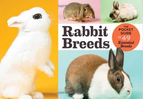 Rabbit Breeds The Pocket Guide to 49 Essential Breeds