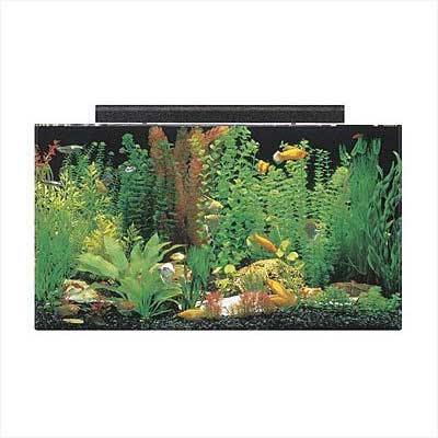 SeaClear Acrylic Aquarium Combo Set