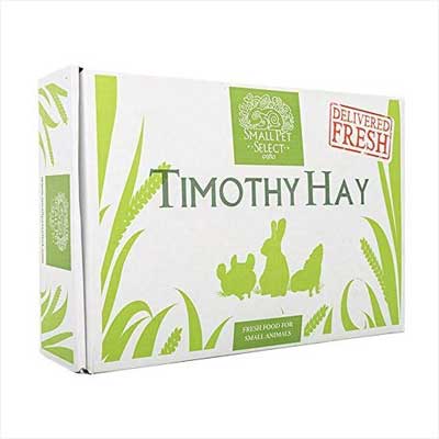 Small Pet Select Timothy Hay Pet Food