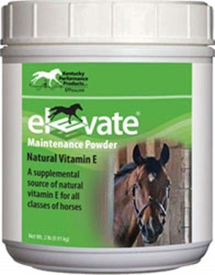 Elevate Maintenance Powder by Kentucky Performance Products