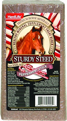 Evolved Sturdy Steed Horse Block Peppermint