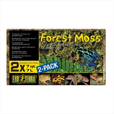 Exo Terra Forest Plume Moss