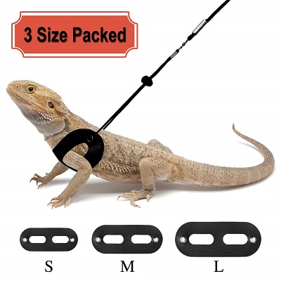 Rypet 3 Packs Bearded Dragon Harness and Leash