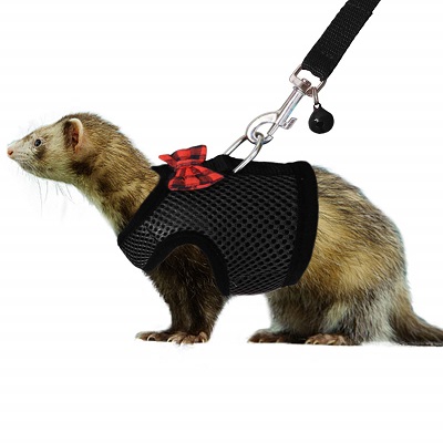 Rypet Small Animal Harness and Leash