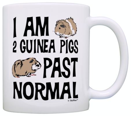 ThisWear Guinea Pig Lover Gifts I Am 2 Guinea Pigs Past Normal Gift Mug