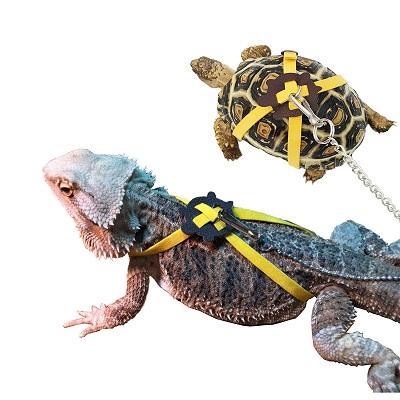 Vehomy Turtle Lizard Harness Leash