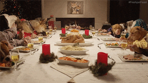 dogs eating dinner christmas gif